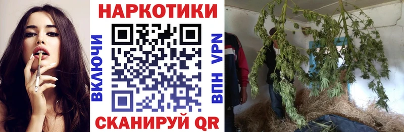 Какие есть наркотики Лиски Каннабис  А ПВП  Гашиш  АМФ  Меф 