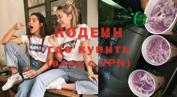 молекула духа Арсеньев