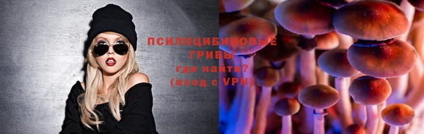 a pvp Аркадак
