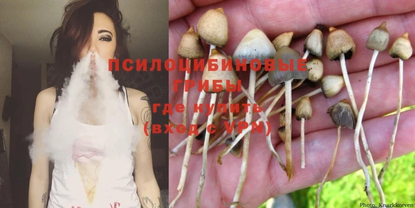 молекула духа Арсеньев