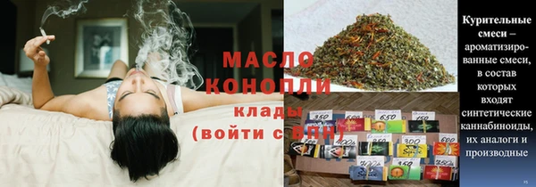 молекула духа Арсеньев